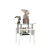 1-Piece Modern Tempered Glass Tea Table Coffee Table End Table, Square Table for Living Room, Transparent/White
