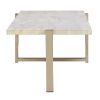 White and Champagne Coffee Table