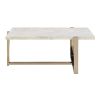 White and Champagne Coffee Table